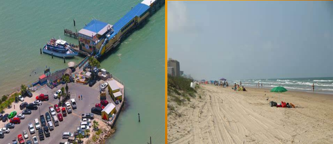 citrus-massinfosysy-south-padre-island-2.jpeg